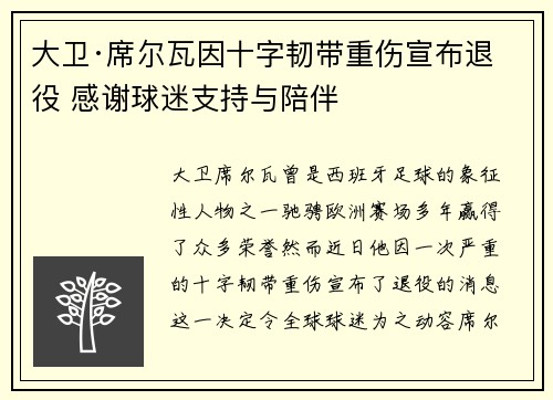 大卫·席尔瓦因十字韧带重伤宣布退役 感谢球迷支持与陪伴